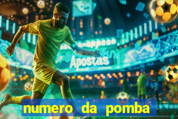 numero da pomba jogo do bicho